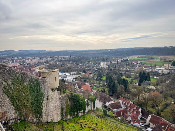 23-03-17 12-09-36 4902